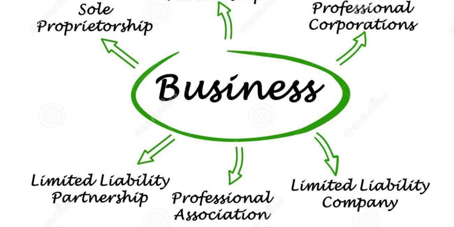 Most Common Types of Businesses and How To Choose One