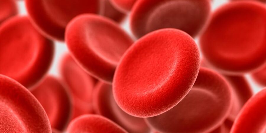 4 Nigerian Foods That Can Increase Your Red Blood Cells (Anaemia)