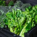 11 Leafy Vegetables That Are A Must Add To Your Diet, Especially If You Are Over 30