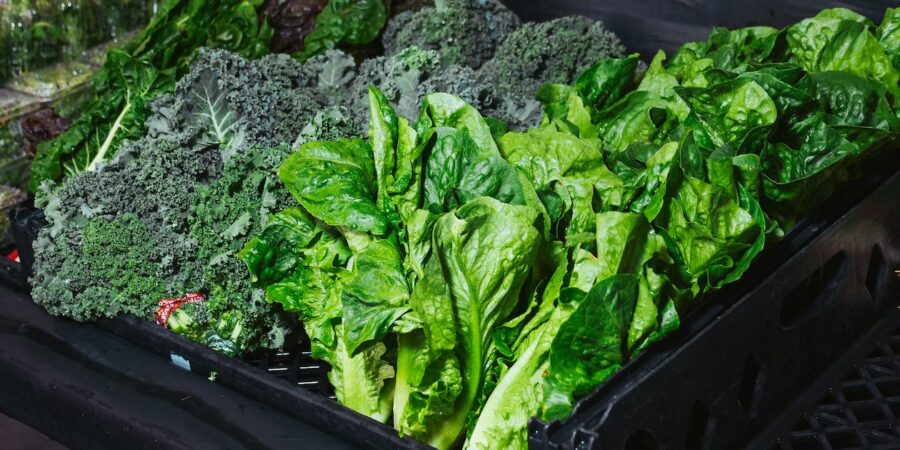 11 Leafy Vegetables That Are A Must Add To Your Diet, Especially If You Are Over 30